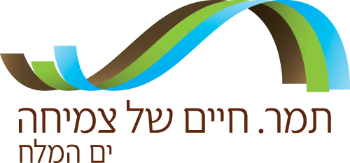 מועצה אזורית תמר